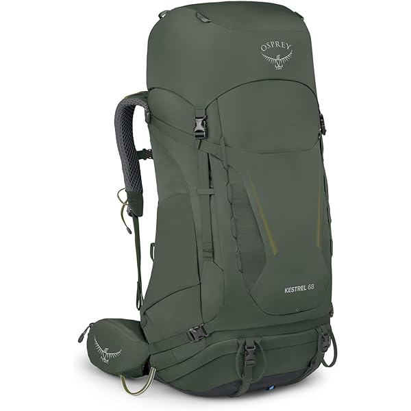 Amazon.com : Osprey Kestrel 58L Men's Backpacking Backpack, Bonsai
